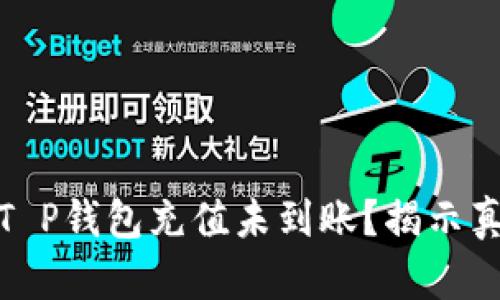 : 为什么您的T P钱包充值未到账?揭示真相与解决方案