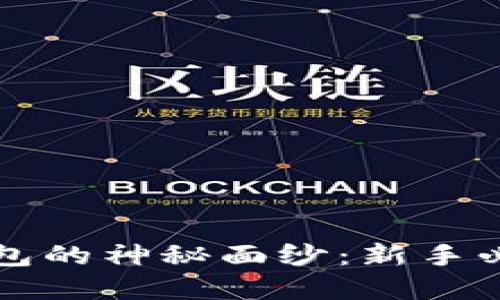 揭开TP数字钱包的神秘面纱:新手必读的操作指南