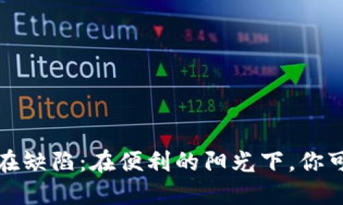 数字钱包的潜在缺陷:在便利的阳光下,你可能忽视的阴影
