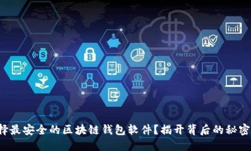 如何选择最安全的区块链钱包软件?揭开背后的秘密与推荐!