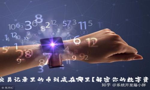 TP钱包交易记录里的币到底在哪里?解密你的数字资产之旅!
