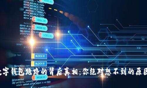 数字钱包跑路的背后真相:你绝对想不到的原因!