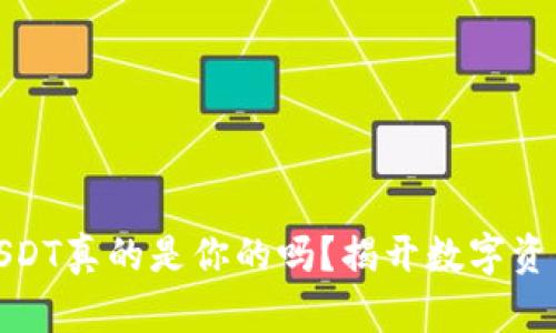 TP钱包中的USDT真的是你的吗?揭开数字资产的真实面纱