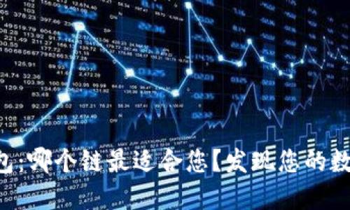 以太坊在TP钱包:哪个链最适合您?发现您的数字资产新世界!