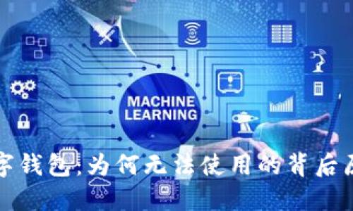解密比特币数字钱包:为何无法使用的背后原因与解决方案
