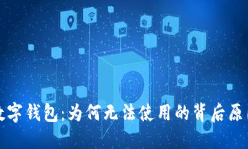 解密比特币数字钱包:为何无法使用的背后原因与解决方案