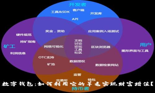 数字钱包:如何利用它的羊毛实现财富增值?
