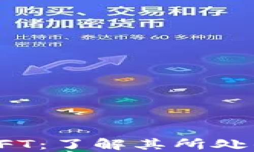TP钱包中的NFT:了解其所处的区块链环境