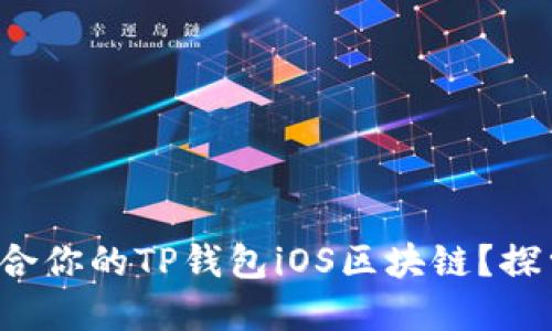 如何选择适合你的TP钱包iOS区块链?探索最优选项!