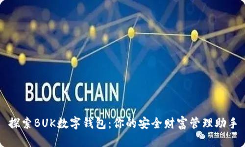 探索BUK数字钱包:你的安全财富管理助手