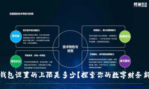 数字钱包设置的上限是多少?探索你的数字财务新选择