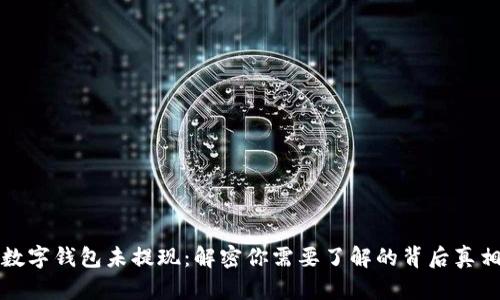 数字钱包未提现:解密你需要了解的背后真相