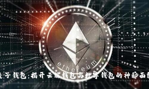 麦子钱包:揭开云端钱包与数字钱包的神秘面纱
