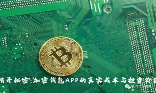 揭开秘密:加密钱包APP的真实成本与投资价值