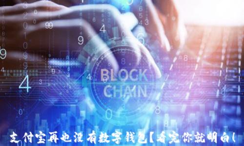 
支付宝再也没有数字钱包？看完你就明白！