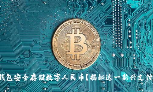 如何使用纸钱包安全存储数字人民币?揭秘这一新兴支付方式的奥秘!