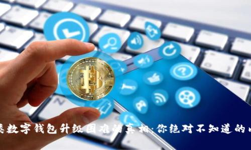 二类数字钱包升级困难的真相:你绝对不知道的内幕
