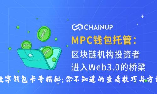 数字钱包卡号揭秘:你不知道的查看技巧与方法