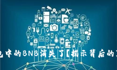 为何你的TP钱包中的BNB消失了?揭示背后的真相与解决方案