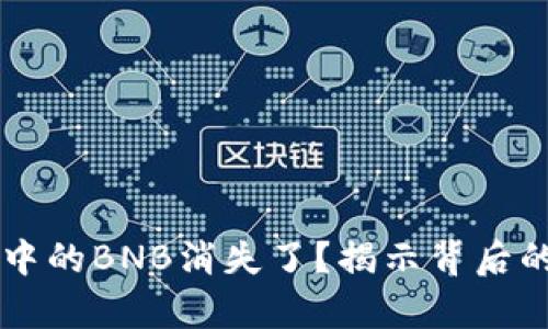 为何你的TP钱包中的BNB消失了?揭示背后的真相与解决方案