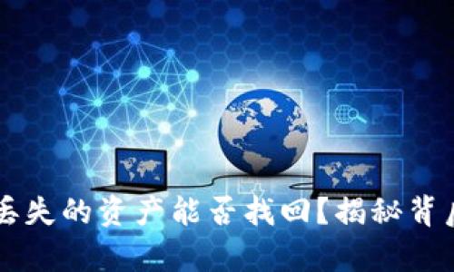 「TP钱包丢失的资产能否找回?揭秘背后的真相」