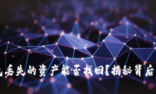 「TP钱包丢失的资产能否找回?揭秘背后的真相」