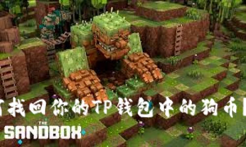 “丢失的财富:如何找回你的TP钱包中的狗币?解决方案与建议”
