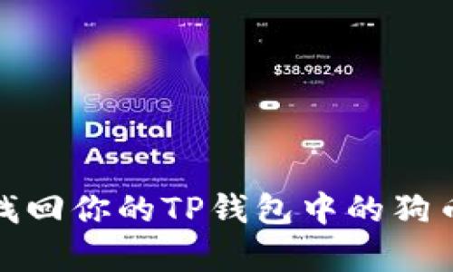 “丢失的财富:如何找回你的TP钱包中的狗币?解决方案与建议”