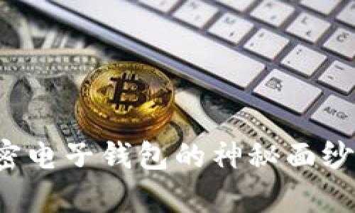 揭开花花公子加密电子钱包的神秘面纱:你的财富新选择