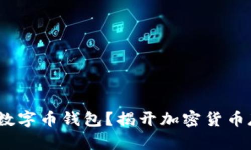 深入分析:何谓数字币钱包?揭开加密货币存储的神秘面纱