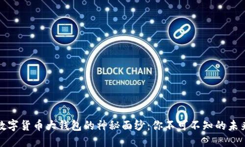 揭开国际数字货币大钱包的神秘面纱:你不可不知的未来金融趋势