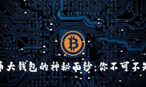 揭开国际数字货币大钱包的神秘面纱:你不可不知的未来金融趋势
