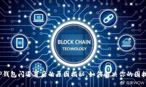 TP钱包闪退背后的原因揭秘,如何解决你的困扰?
