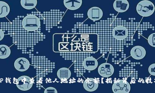 如何在TP钱包中查看他人地址的余额?揭秘背后的技巧与方法