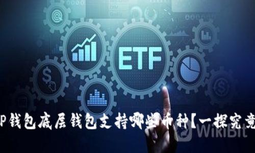 TP钱包底层钱包支持哪些币种?一探究竟!