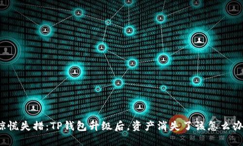 惊慌失措:TP钱包升级后,资产消失了该怎么办?
