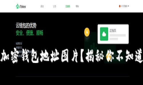 如何安全下载美国加密钱包地址图片?揭秘你不知道的技巧与注意事项