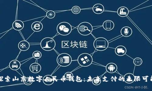 探索山东数字人民币钱包:未来支付的无限可能