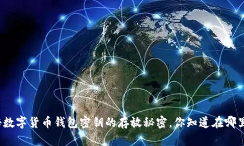 揭秘数字货币钱包密钥的存放秘密,你知道在哪里吗?