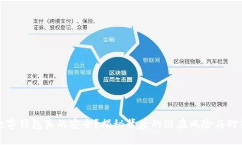 数字钱包真的安全?揭秘背后的潜在风险与对策