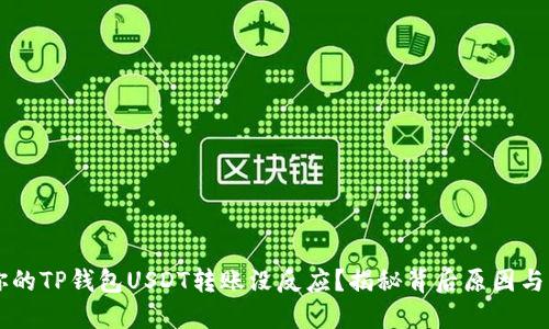 为什么你的TP钱包USDT转账没反应?揭秘背后原因与解决办法