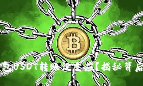 为什么你的TP钱包USDT转账没反应?揭秘背后原因与解决办法