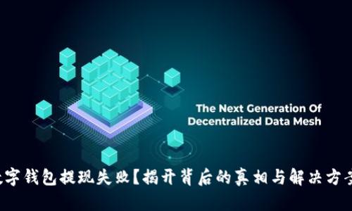 数字钱包提现失败?揭开背后的真相与解决方案!