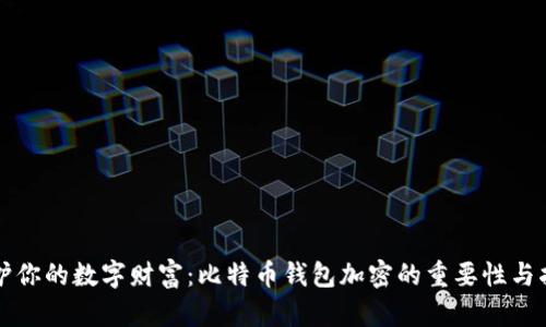 保护你的数字财富：比特币钱包加密的重要性与指南