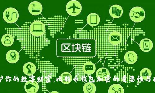 保护你的数字财富：比特币钱包加密的重要性与指南