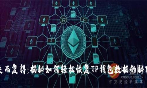 失而复得:揭秘如何轻松恢复TP钱包数据的秘密