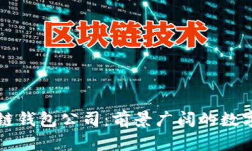 深圳区块链钱包公司:前景广阔的数字财富之门