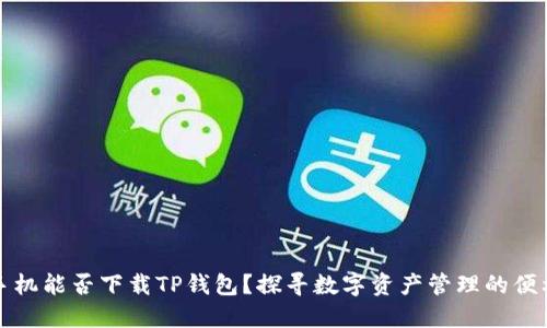 苹果手机能否下载TP钱包?探寻数字资产管理的便利之路