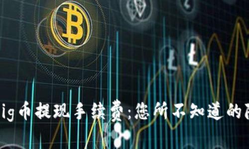 TP钱包Pig币提现手续费:您所不知道的隐藏费用