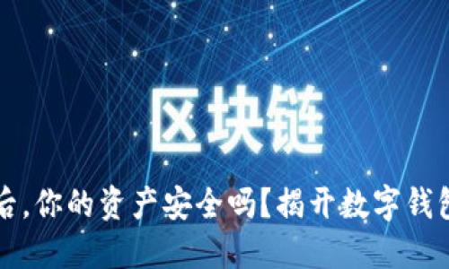 卸载TP钱包后，你的资产安全吗？揭开数字钱包的那些秘密